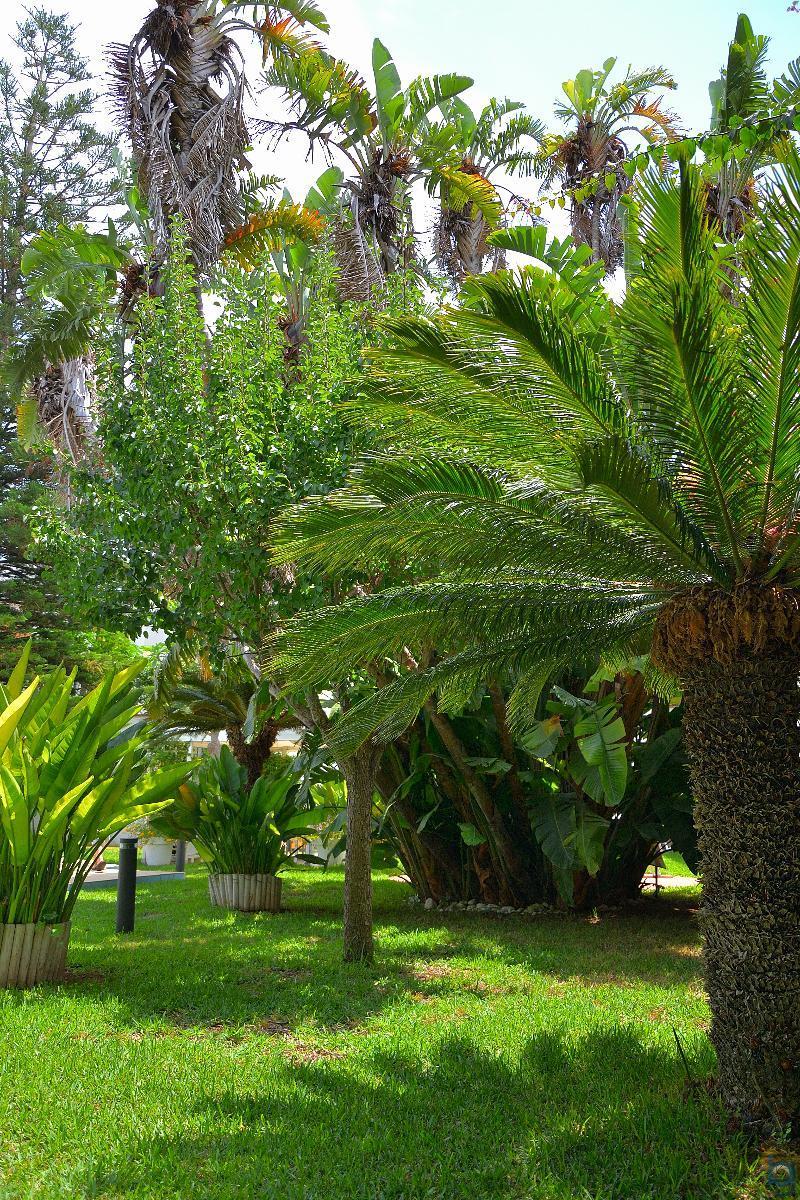 B&B Mondello Resort Eksteriør bilde