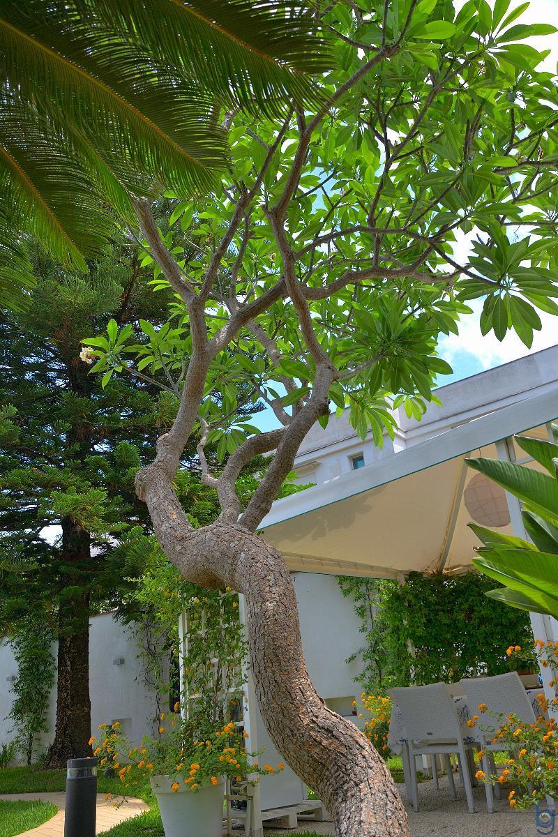 B&B Mondello Resort Eksteriør bilde